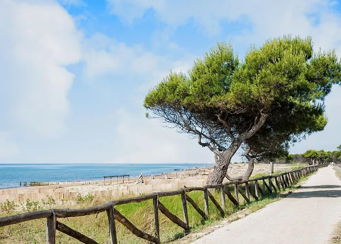 Flat With Pool Access דירה ביביונה